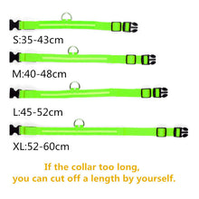 Load image into Gallery viewer, Rechargable Pet LED Dog Collar